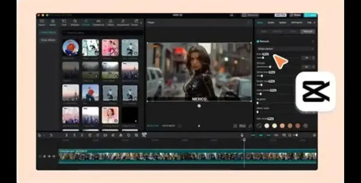 Capcut Pro